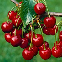 Co můžete najít v bedýnce?